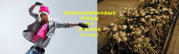 МДПВ Нефтекумск