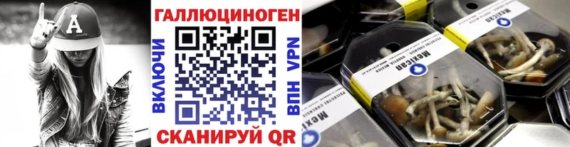 Галлюциногенные грибы прущие грибы  Куса 